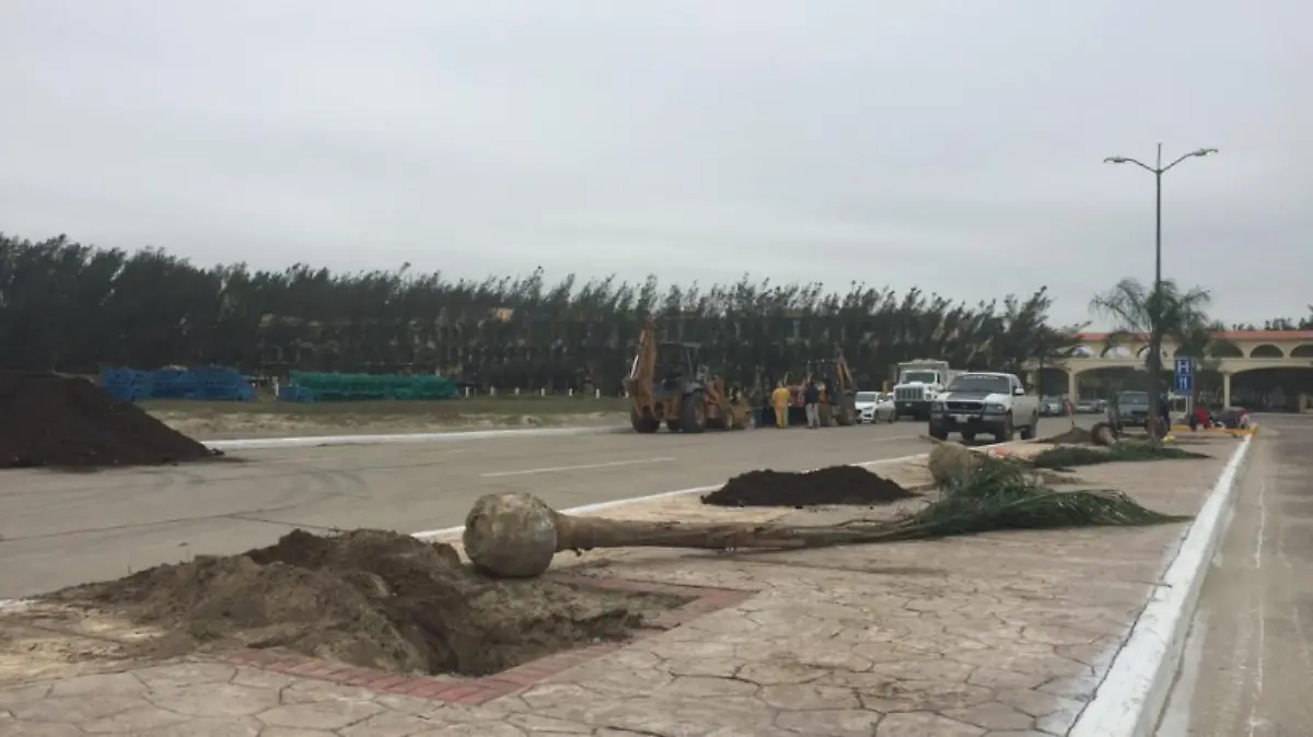 Captura de pantalla 2019-03-24 a la(s) 9.38.44