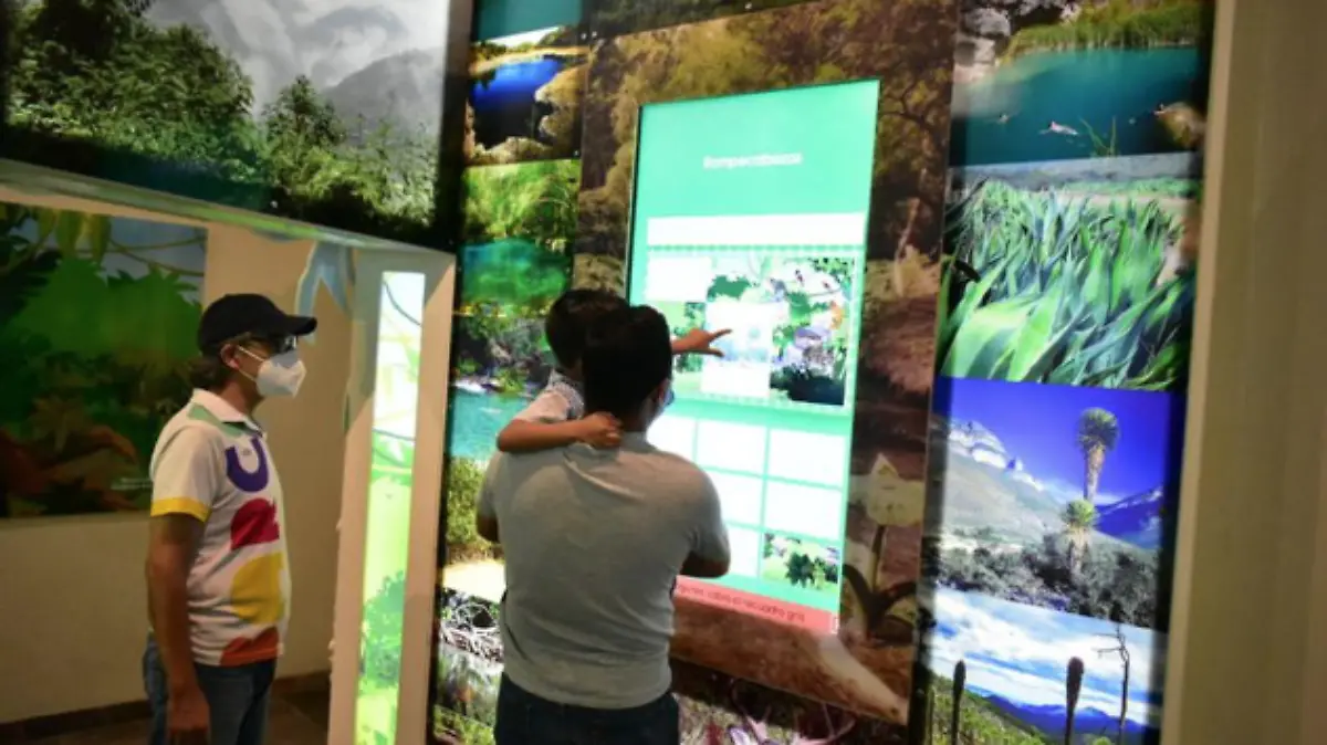 Un espacio para aprender, el sur y sus museos