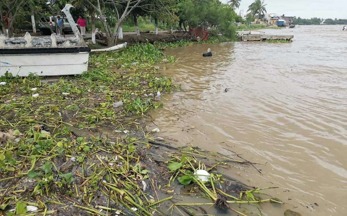 WhatsApp Image 2020-09-16 at 3.49.59 PM