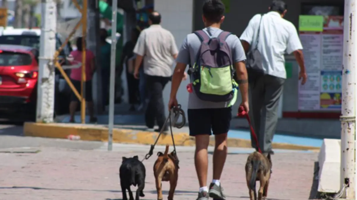 Personal de salud exhortó a seguir las recomendaciones