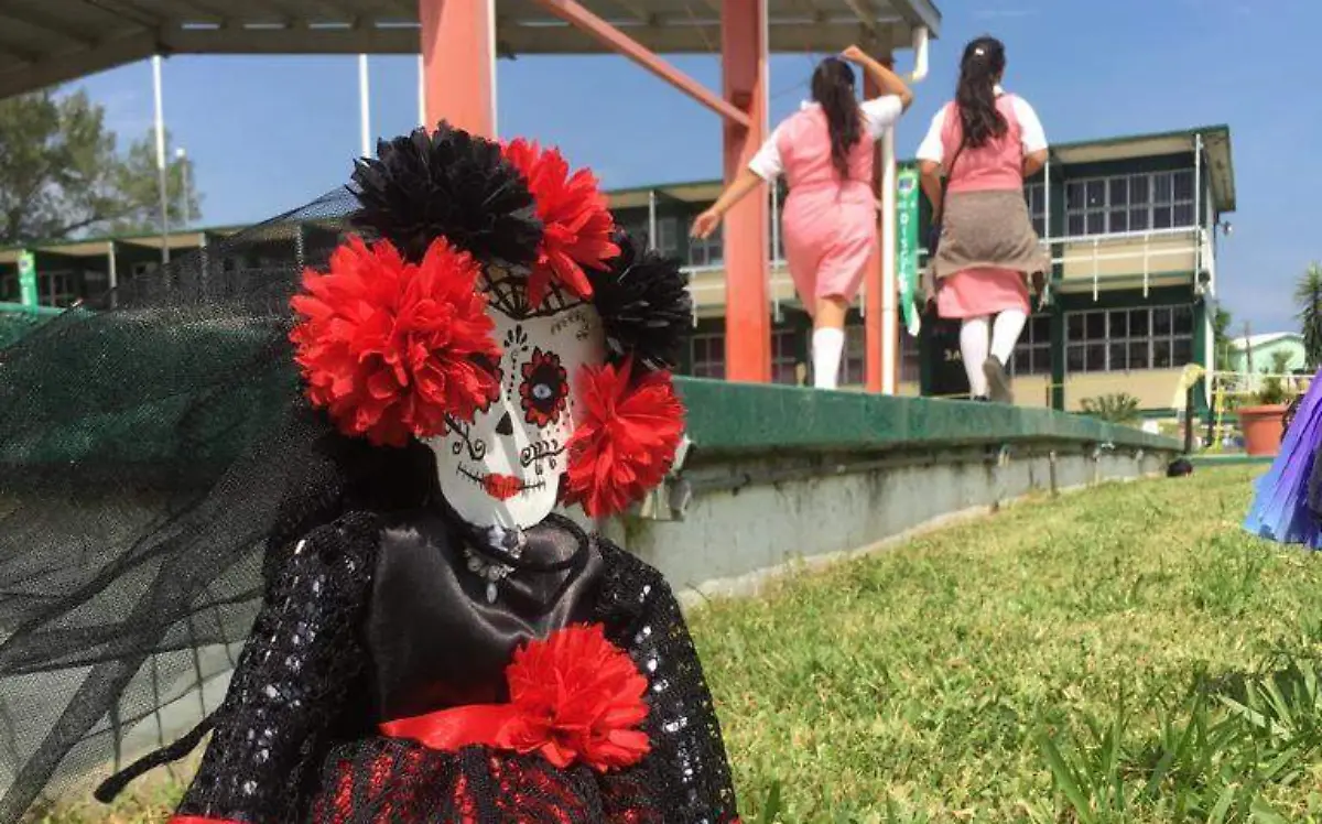 WhatsApp Image 2018-11-01 at 2.06.01 PM