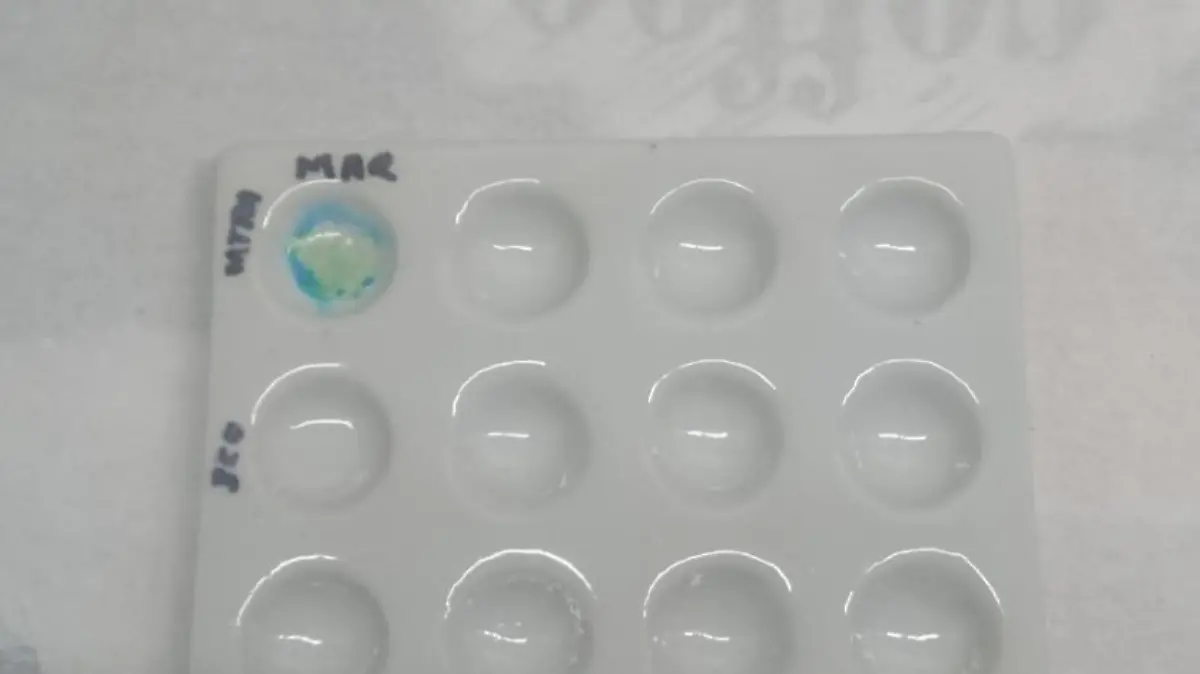 Captura de Pantalla 2019-05-30 a la(s) 12.44.03