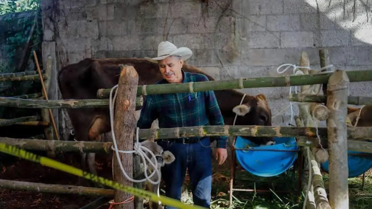 Las personas en general pueden acudir a ver los animales y elegir a sus favoritos, lo que se convierte en un atractivo más