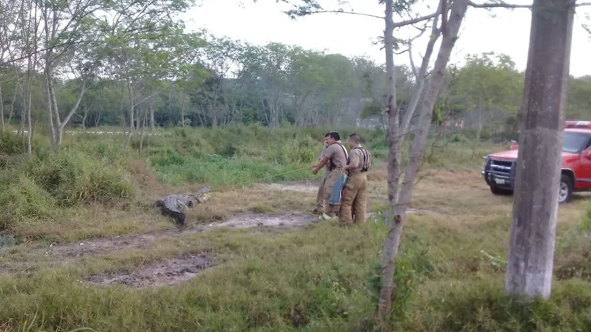 WhatsApp Image 2020-03-16 at 09.55.11 (2)