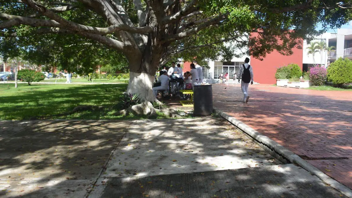 WhatsApp Image 2020-03-05 at 18.04.34