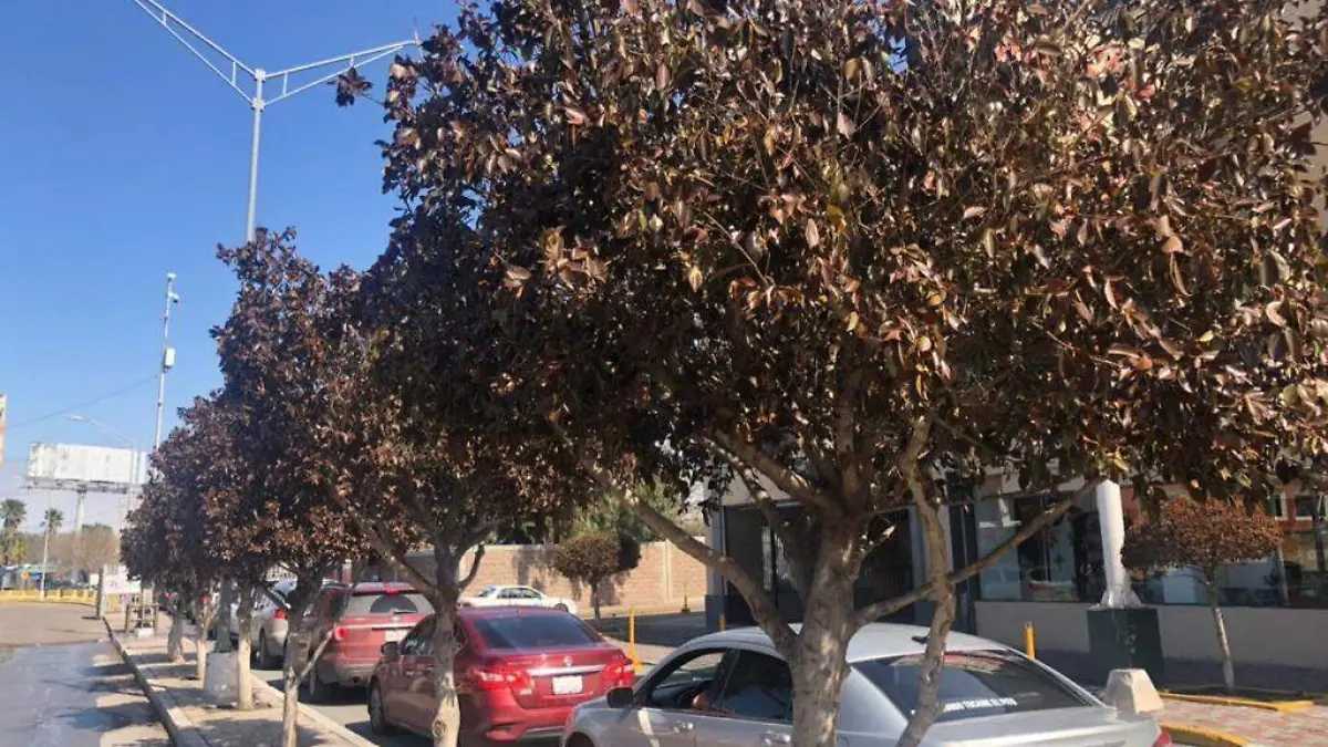 WhatsApp Image 2021-02-28 at 19.31.57