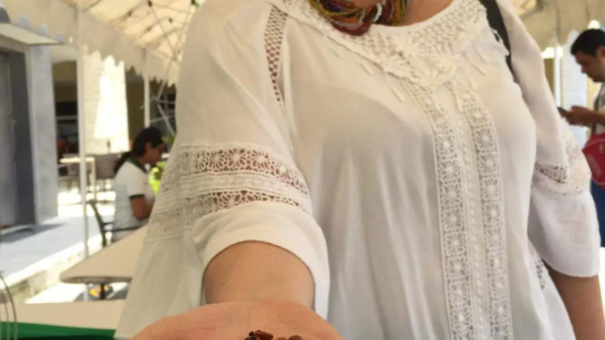 Image 2019-06-05 at 2.47.26 PM (1)