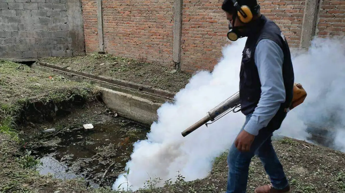 WhatsApp Image 2020-09-12 at 5.40.18 PM