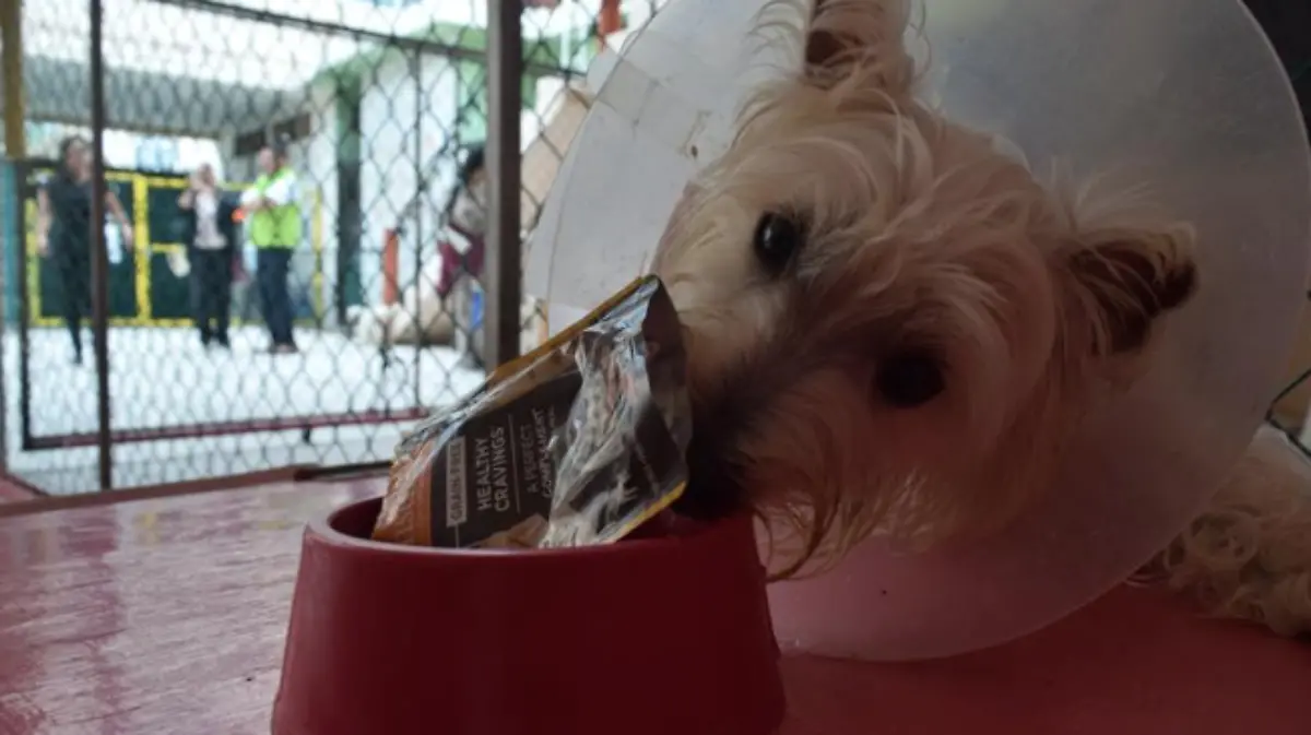 Captura de pantalla 2018-11-25 a la(s) 20.23.26