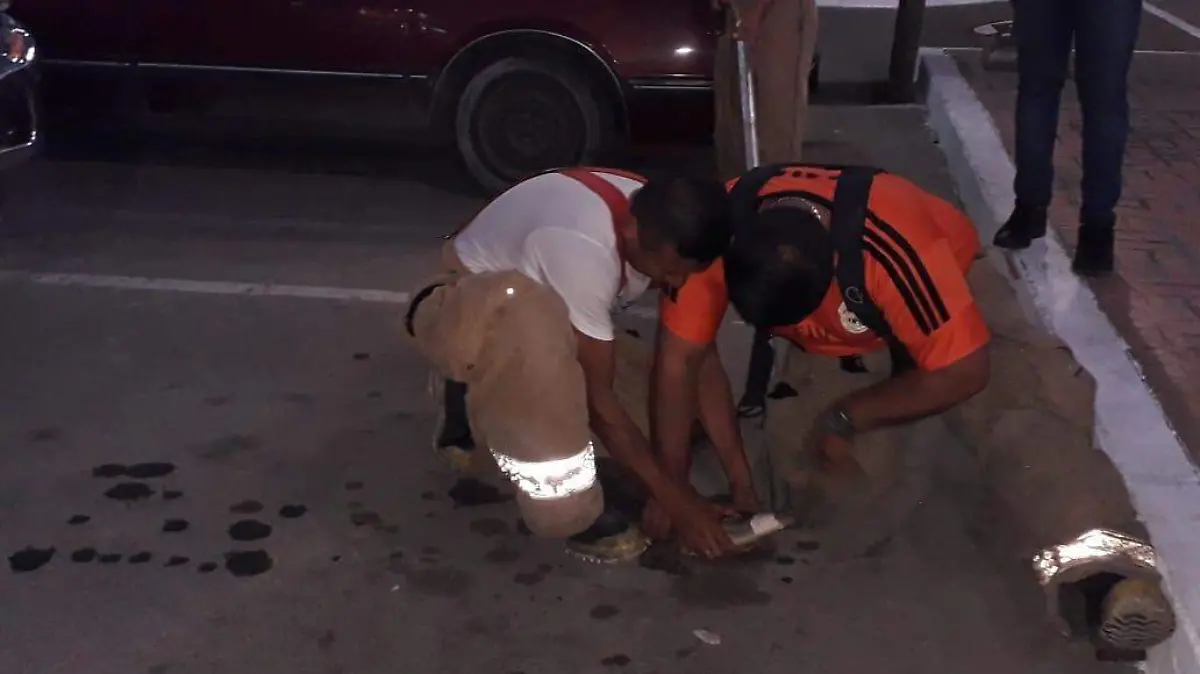 Image 2019-12-17 at 10.31.19 AM (1)