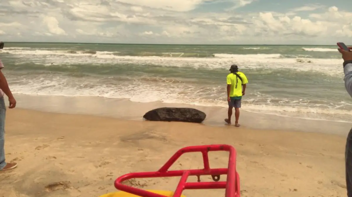 Captura de Pantalla 2019-10-22 a la(s) 22.02.26