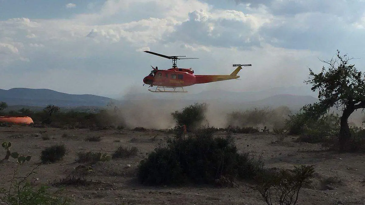 WhatsApp Image 2020-04-12 at 19.11.58