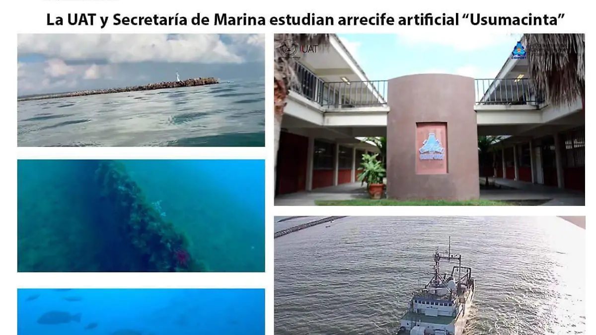 En fase madura con la generación de ecosistema marino en un arrecife artificial se encuentra el buque destructor Usumacinta E-20 hundido hace 18 años frente a la costa del sur de Tamaulipas