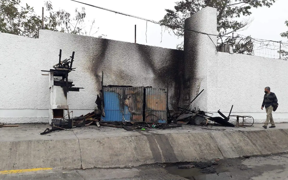 WhatsApp Image 2022-02-11 at 6.11.22 PM