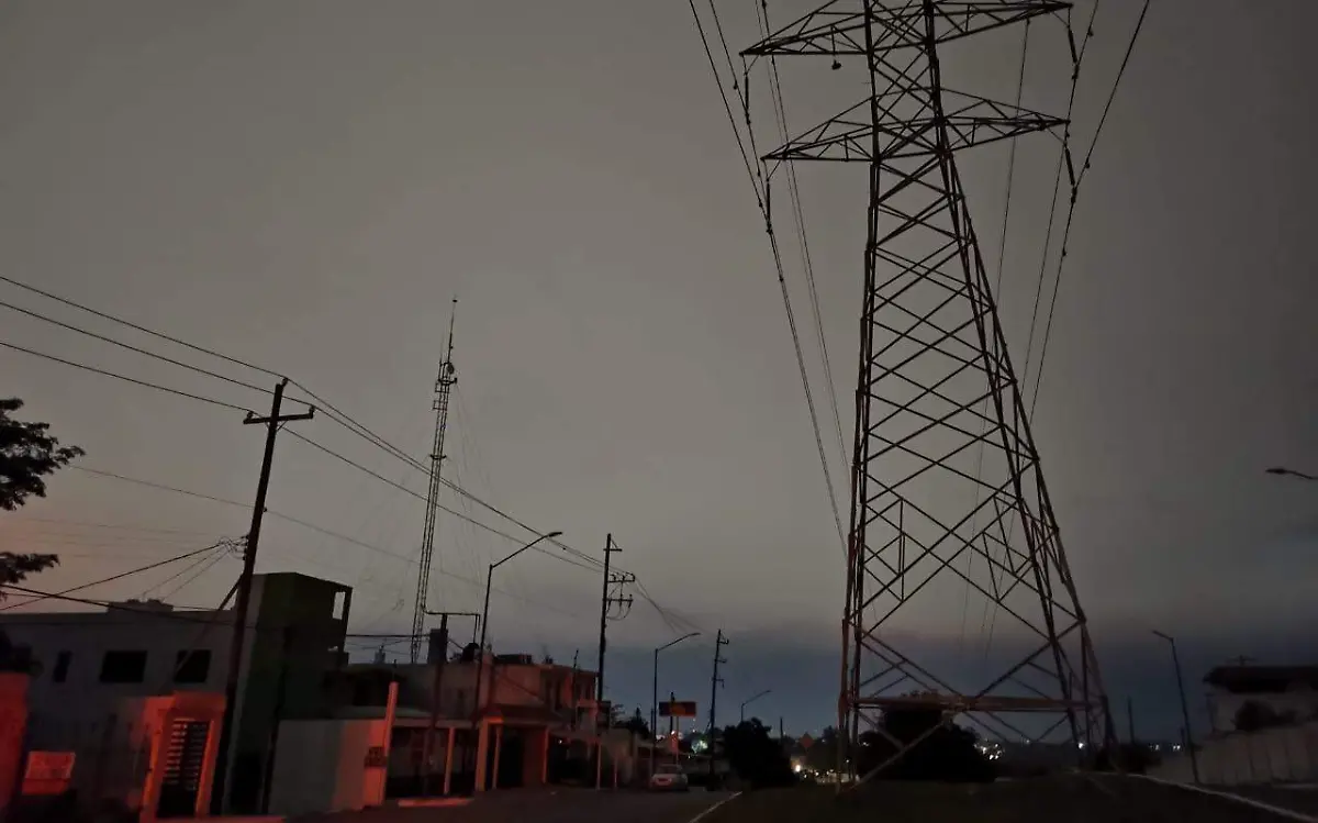 WhatsApp Image 2021-02-16 at 9.56.37 PM