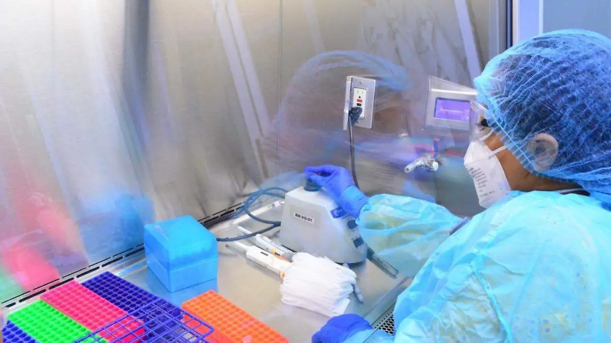 WhatsApp Image 2021-03-14 at 21.51.43