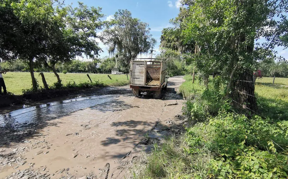 WhatsApp Image 2020-10-27 at 6.16.02 PM