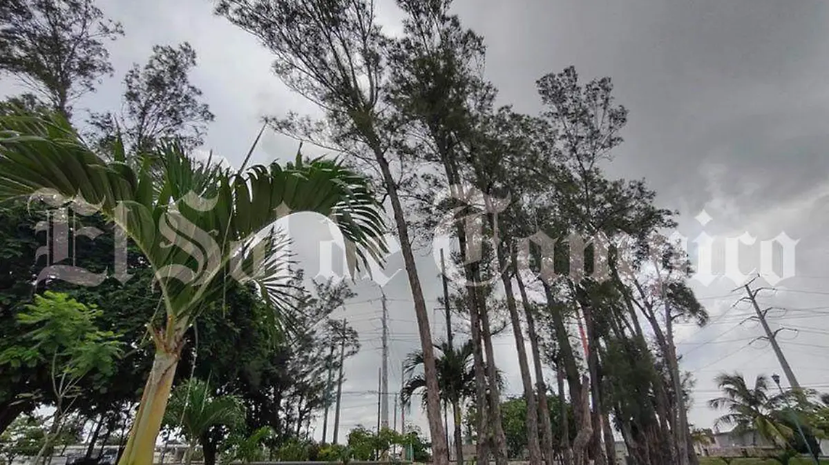 La deforestación ha impacto en el clima y en la fauna