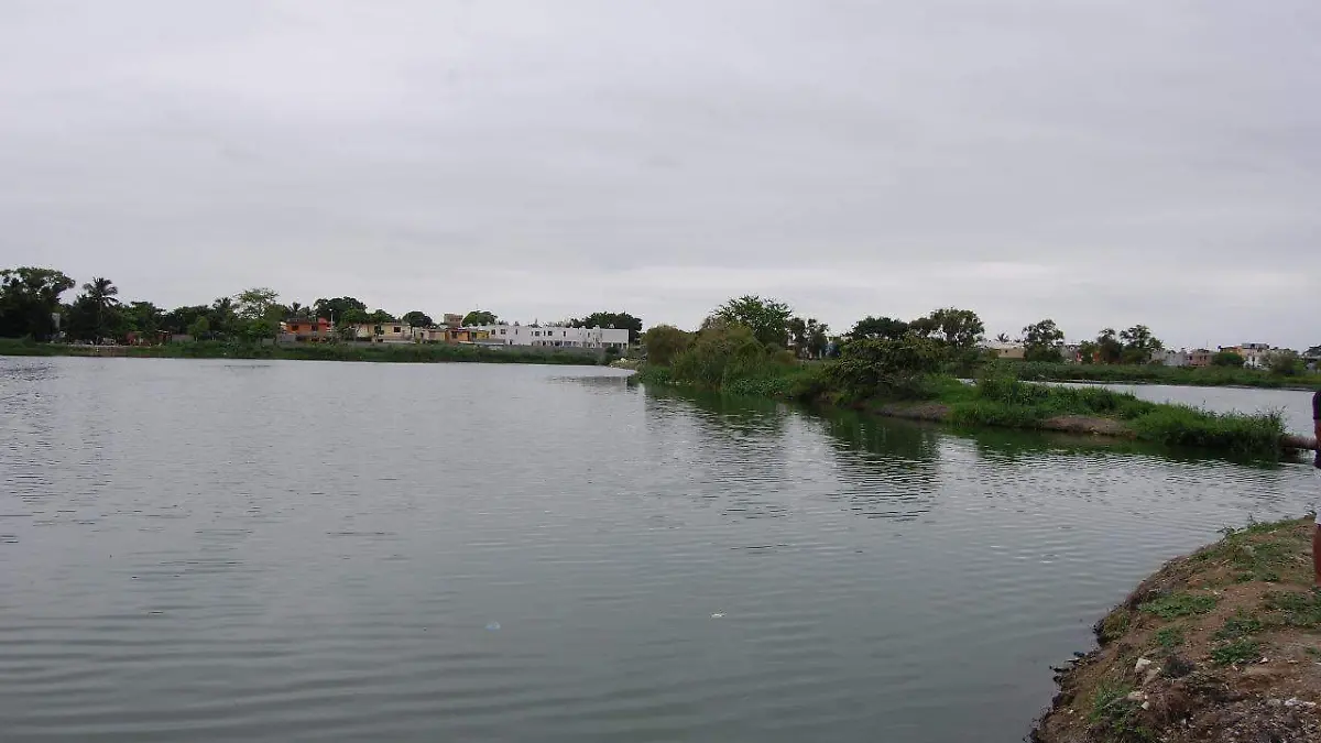 WhatsApp Image 2019-10-15 at 18.04.32 (1)