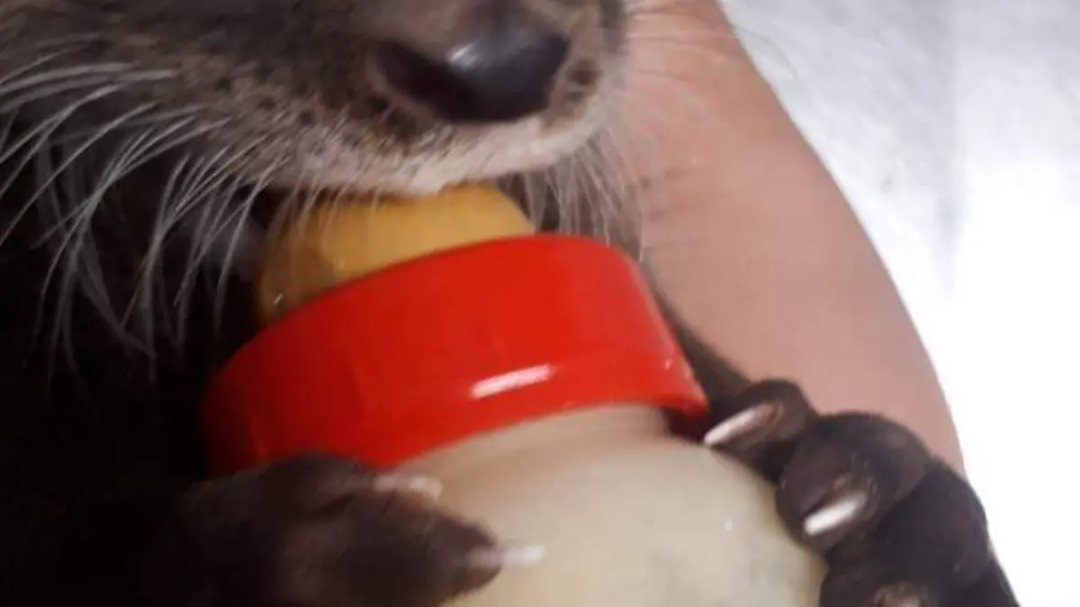 Image 2020-04-22 at 20.51.27 (2)