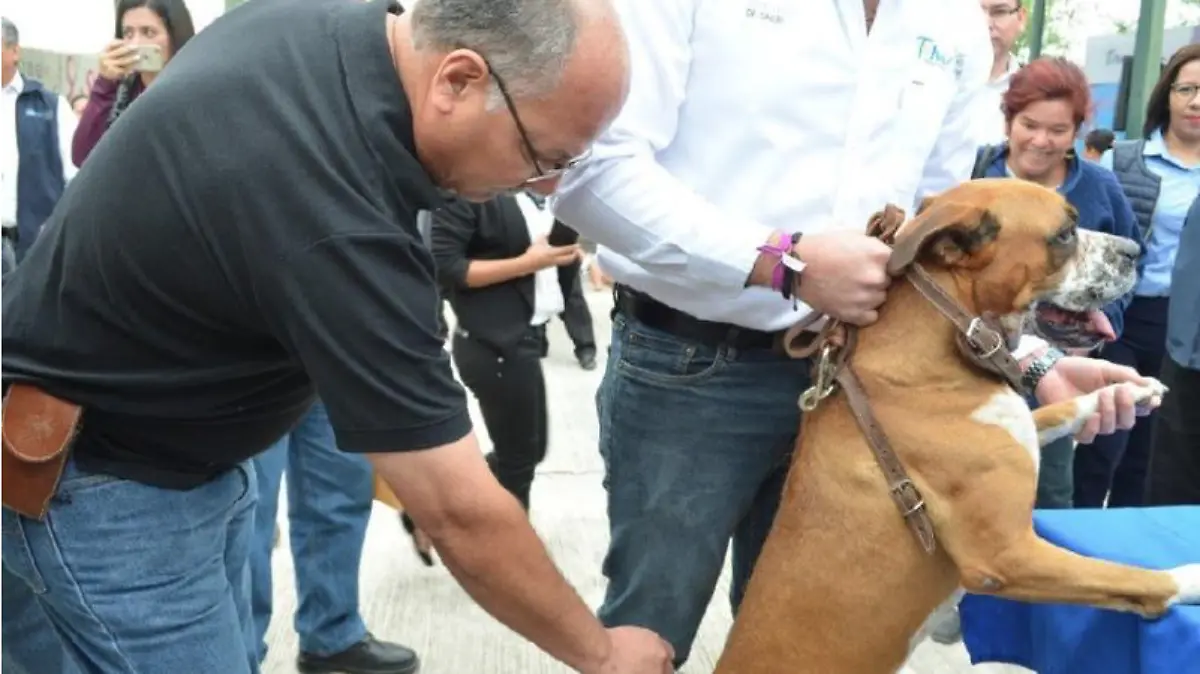 Captura de Pantalla 2019-09-29 a la(s) 21.40.47