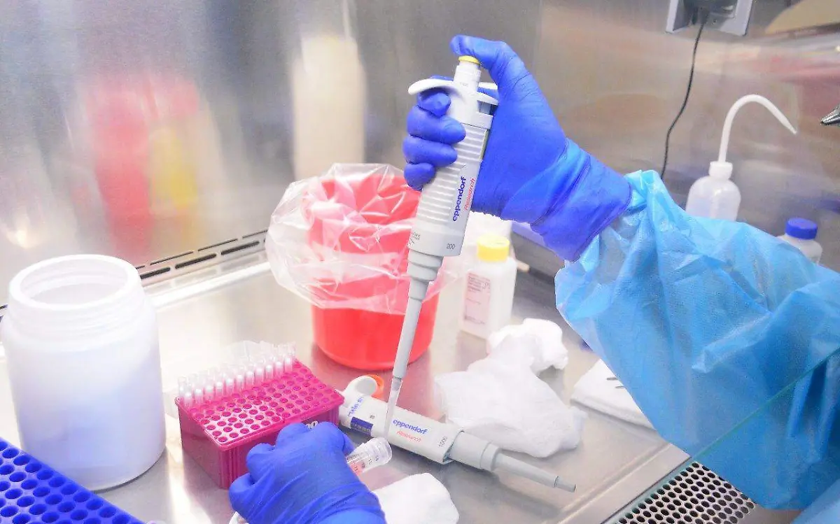 WhatsApp Image 2021-11-13 at 8.41.15 PM