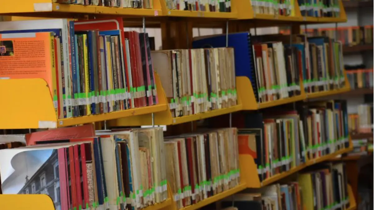Tampico, cuenta con un importante número de bibliotecas :