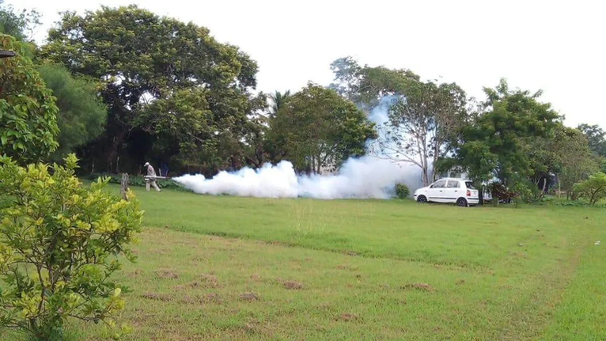 WhatsApp Image 2020-09-06 at 14.44.07