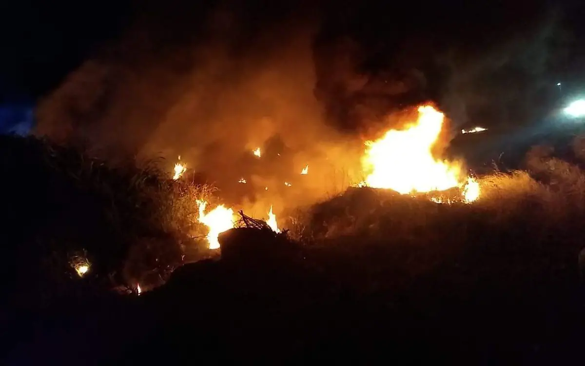 WhatsApp Image 2021-02-02 at 9.37.14 PM