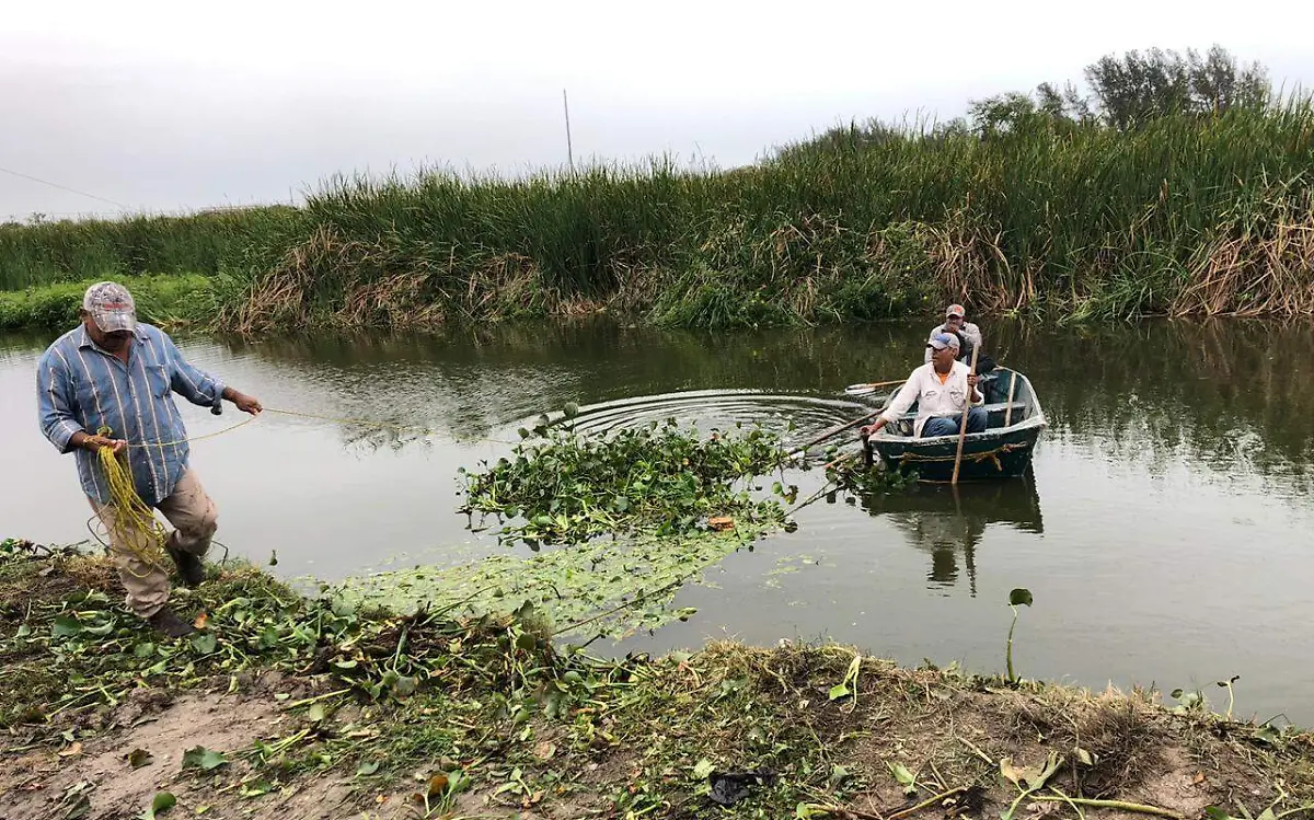 WhatsApp Image 2020-04-16 at 3.48.47 PM