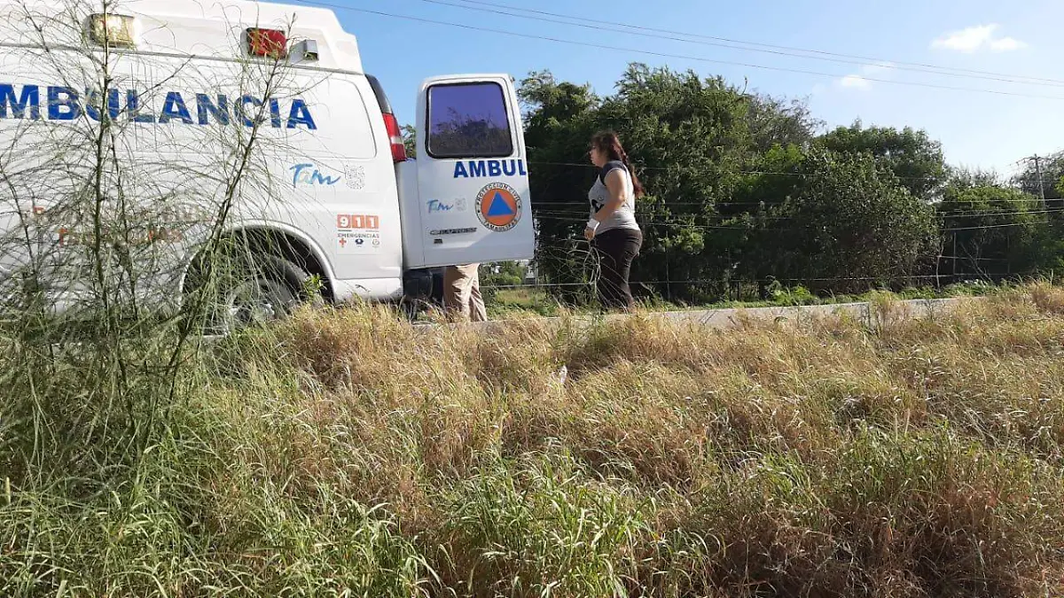 Image 2019-09-23 at 12.36.06