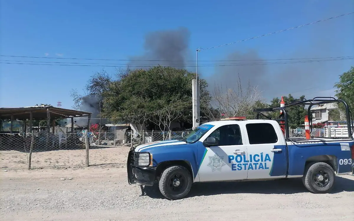 WhatsApp Image 2021-02-02 at 6.31.04 PM