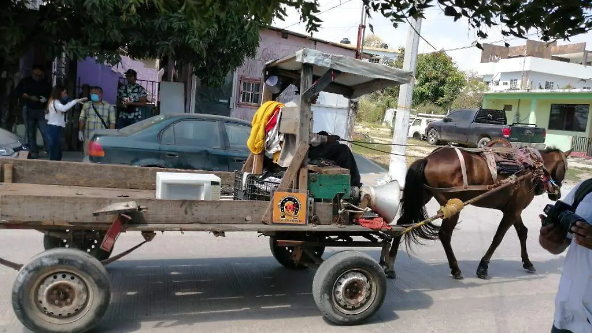 WhatsApp Image 2021-01-10 at 14.37.01 (1)