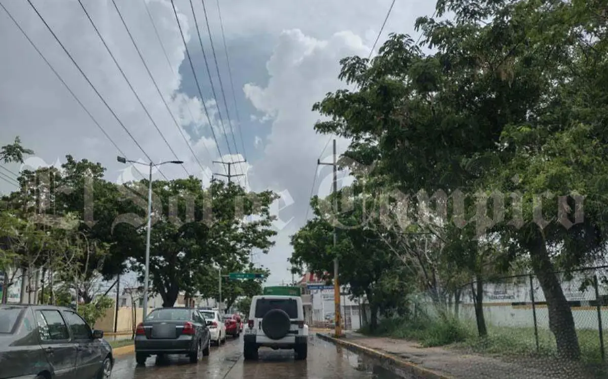 Aves, reptiles, insectos y toda clase de fauna que está acostumbrada a un clima tropical han emigrado a otras zonas del país menos calientes
