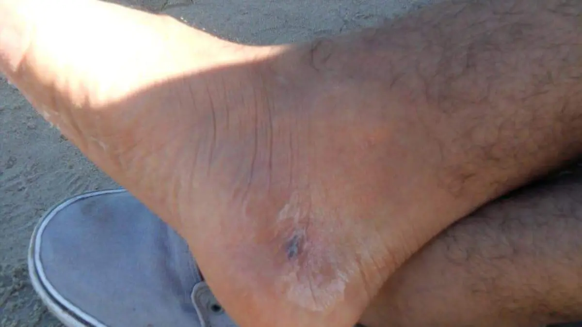 Image 2019-10-28 at 16.13.56