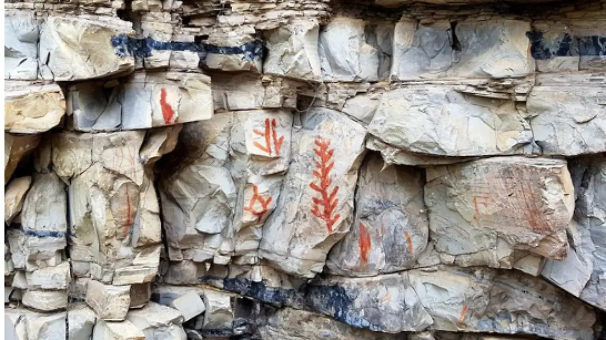 Captura de pantalla 2019-08-29 a la(s) 21.19.07