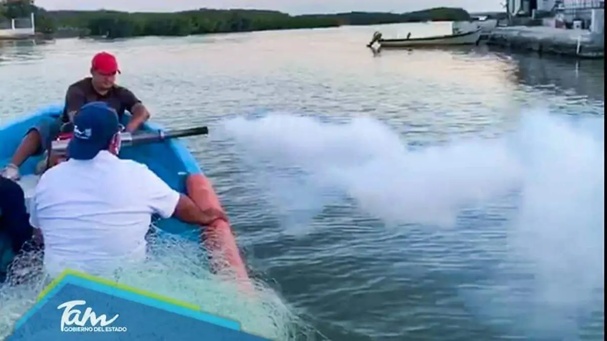 WhatsApp Image 2020-10-18 at 16.42.54