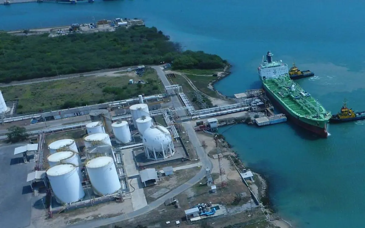 WhatsApp Image 2021-02-17 at 3.46.15 PM