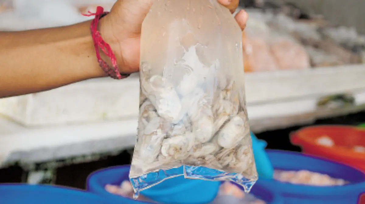 Captura de Pantalla 2019-12-25 a la(s) 21.56.13