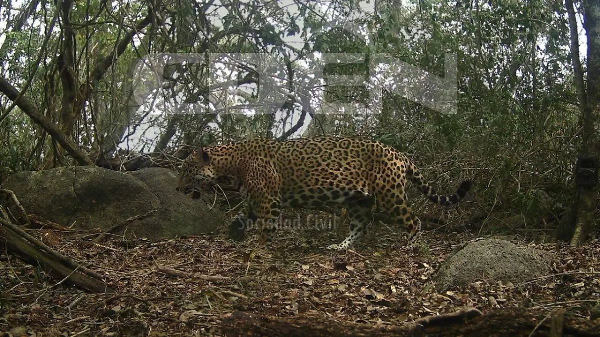 Image 2019-10-08 at 9.47.46 AM