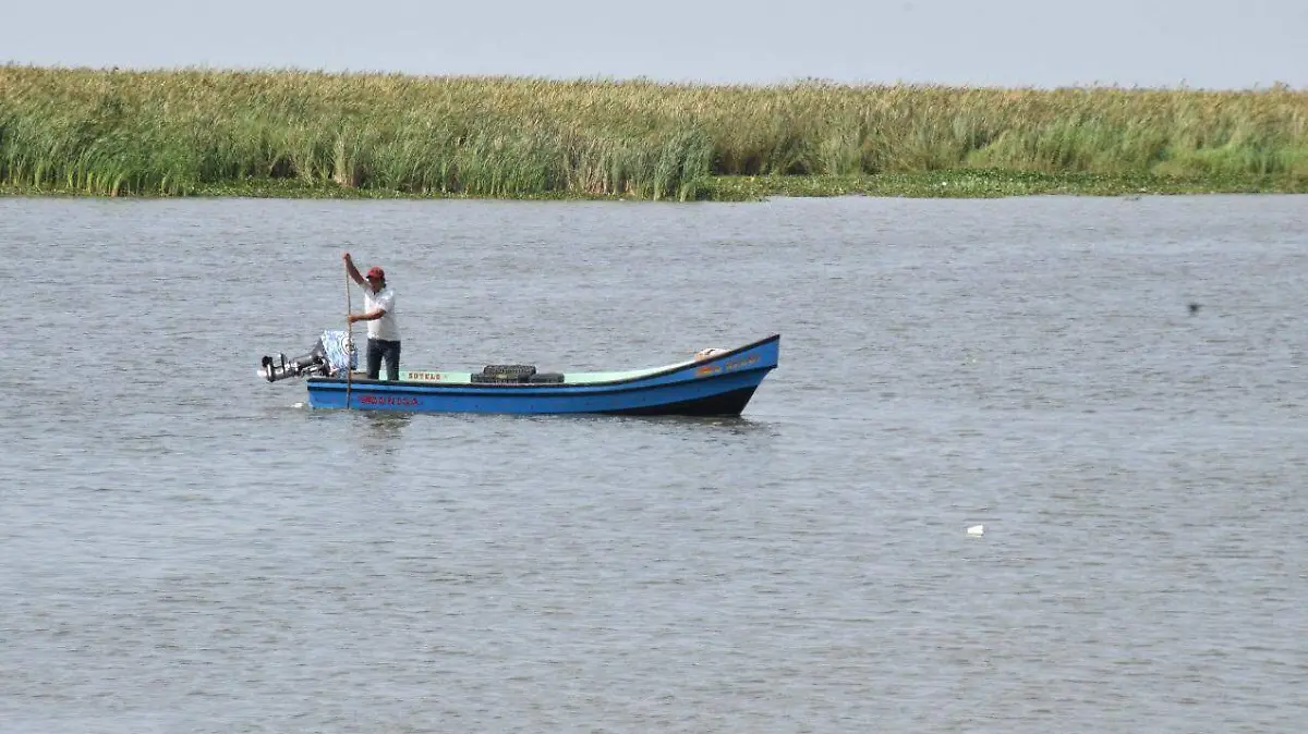 se tendrá que dividir el sistema lagunario Champayán y Chairel 