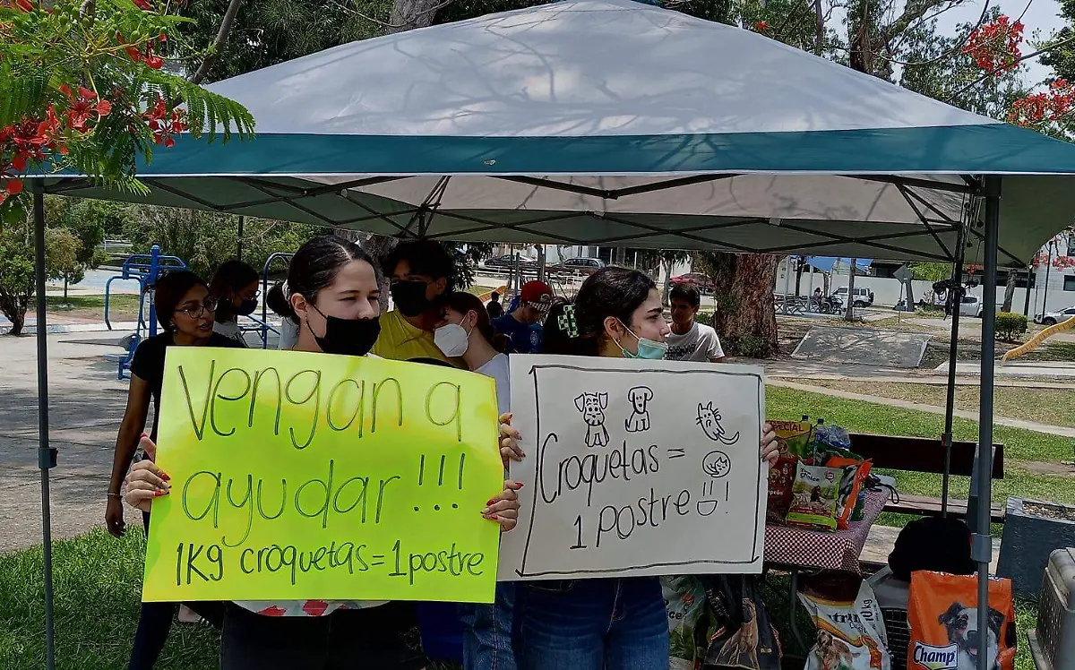 Intercambian croquetas por postres para salvar animalitos de la calle