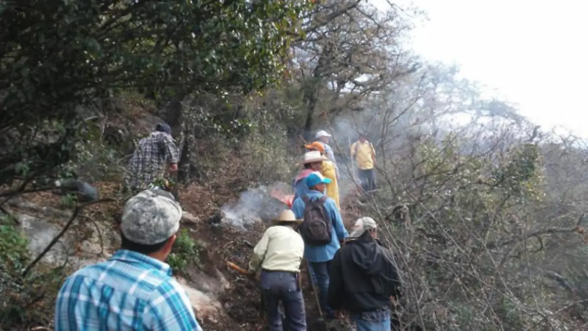 Captura de pantalla 2019-05-02 a la(s) 20.43.14