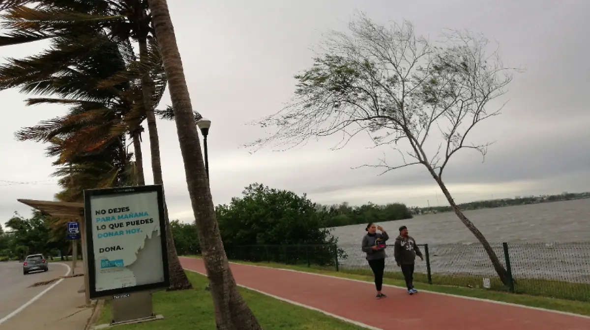 Captura de Pantalla 2019-12-08 a la(s) 15.21.11