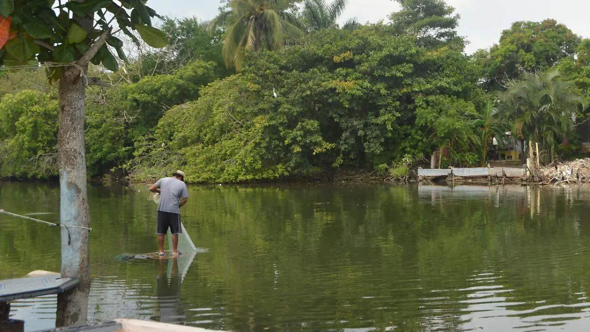 Image 2019-10-13 at 10.46.55