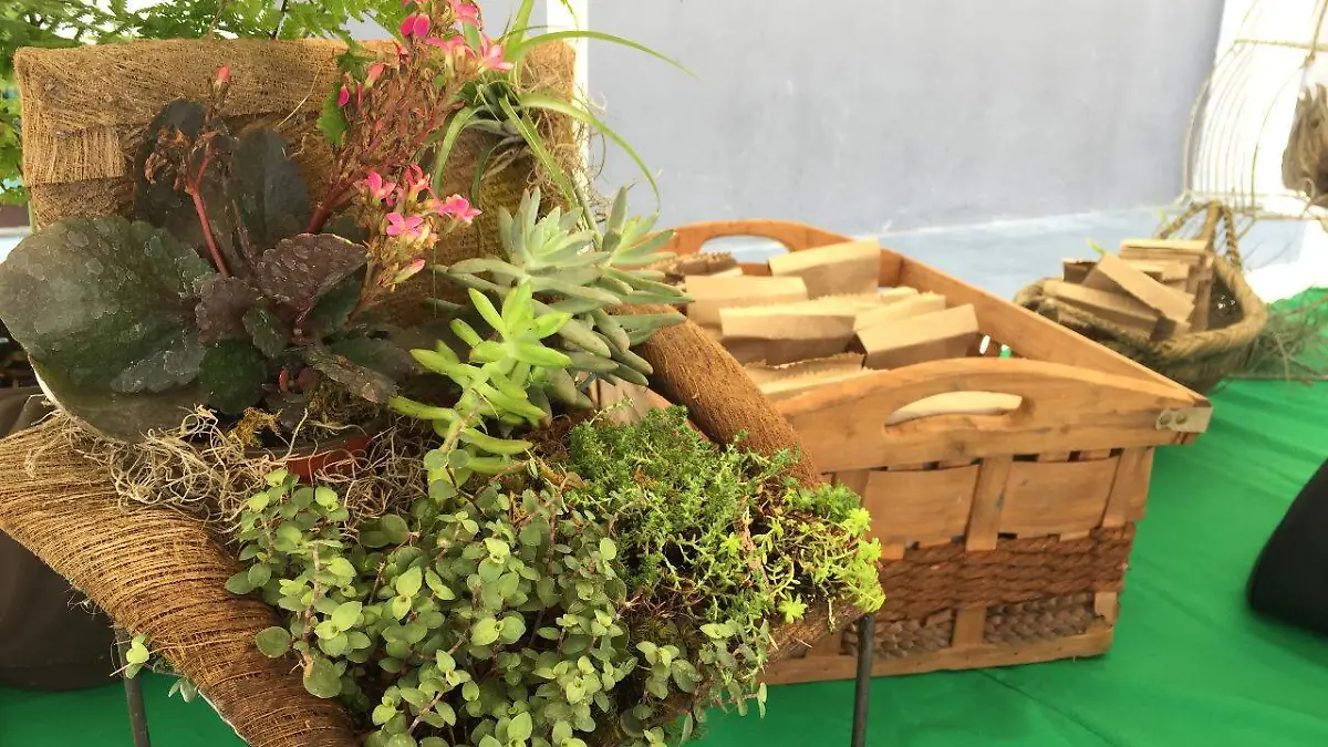 Image 2019-06-05 at 2.48.59 PM