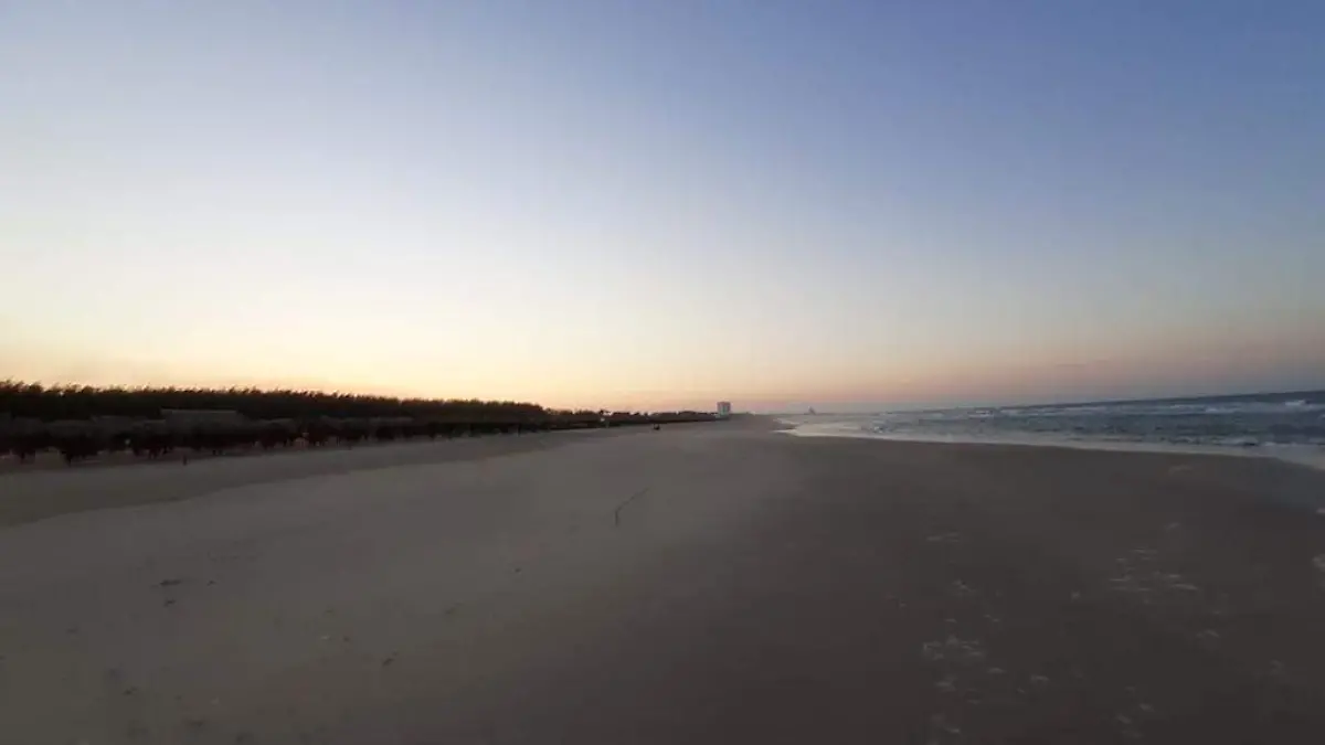 WhatsApp Image 2020-05-12 at 10.00.10 AM (6)