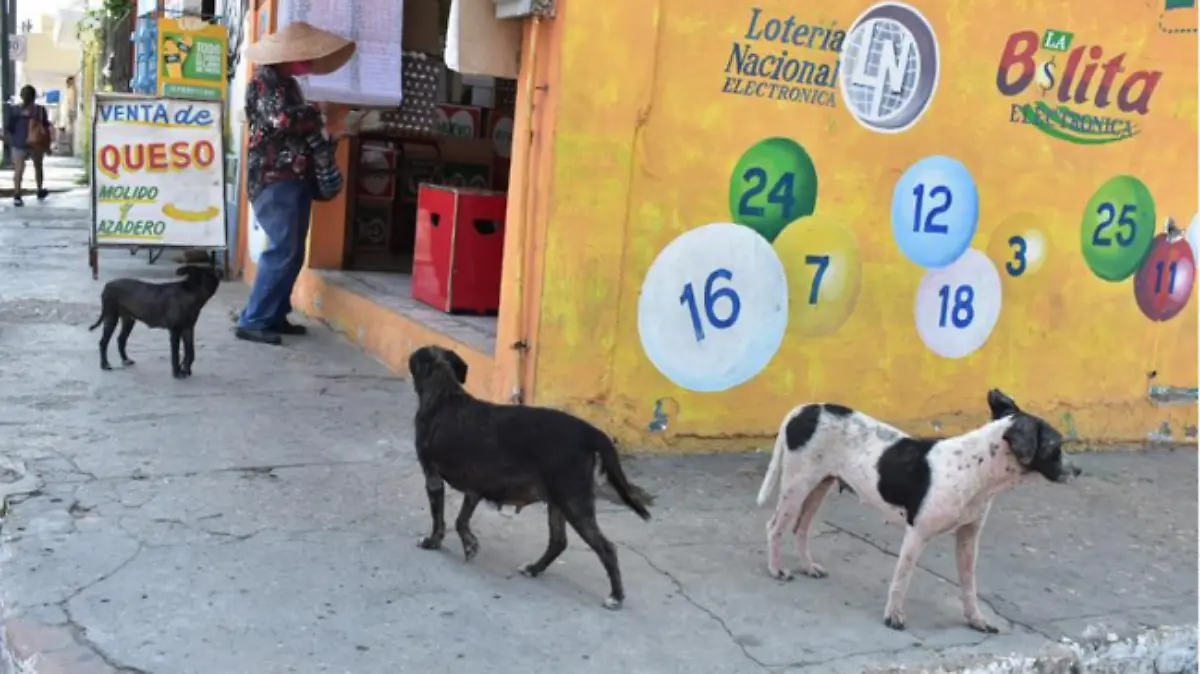 Captura de Pantalla 2020-09-27 a la(s) 21.45.37