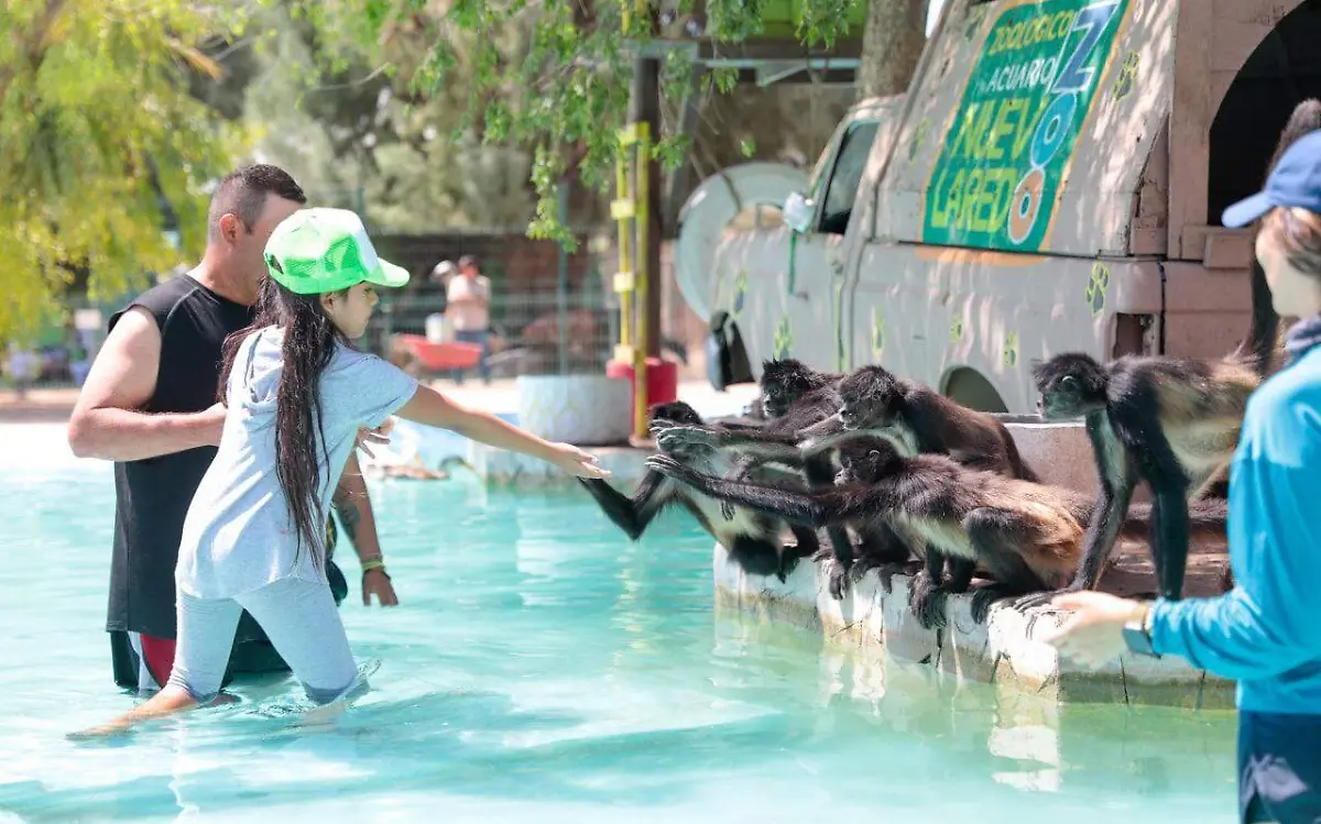 Inicia Jurassic Camp, campamento de verano en uno de los zoológicos de Tamaulipas