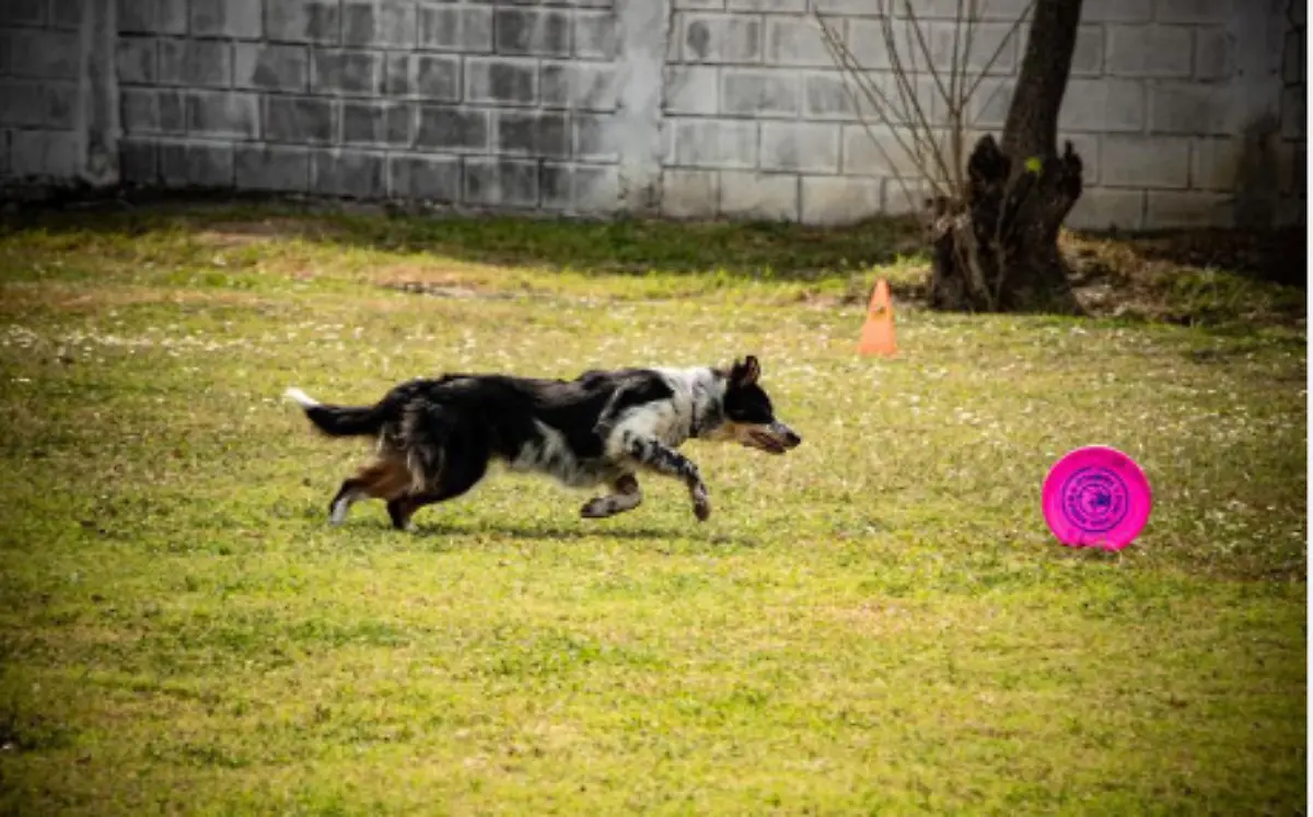 Captura de pantalla 2021-03-16 a la(s) 21.59.56